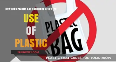 Plastic Bag Ordinances: Reducing Plastic Waste and Promoting Sustainability
