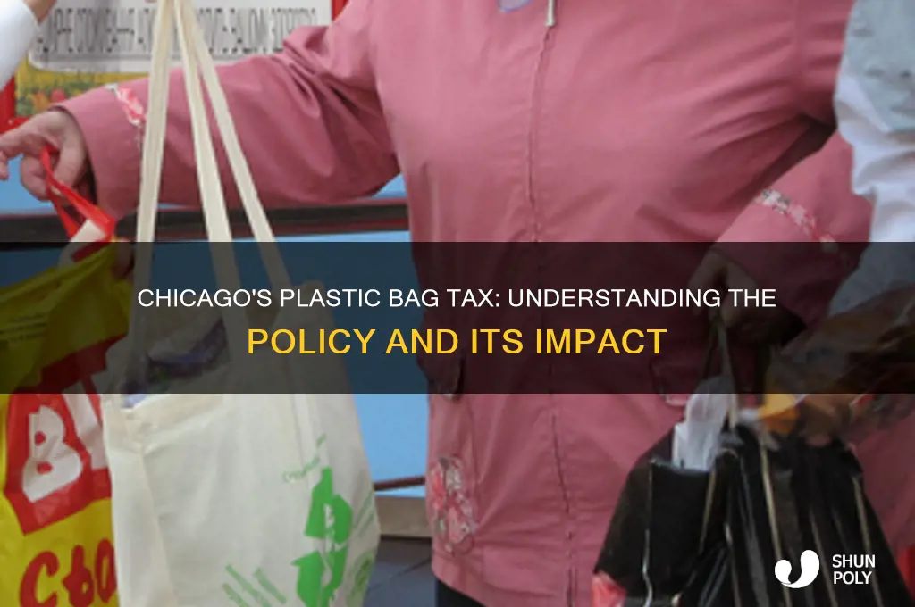 The Policy Of Plastic Bags In Chicago