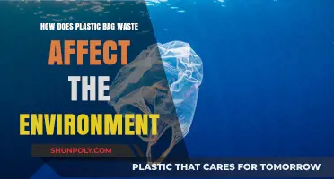 Plastic Bag Pollution: Environmental Impact and Sustainable Alternatives Explained