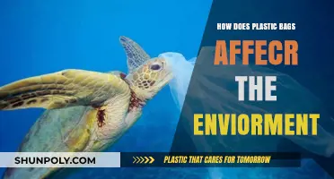 Plastic Bags' Devastating Impact on Our Environment: Causes and Solutions