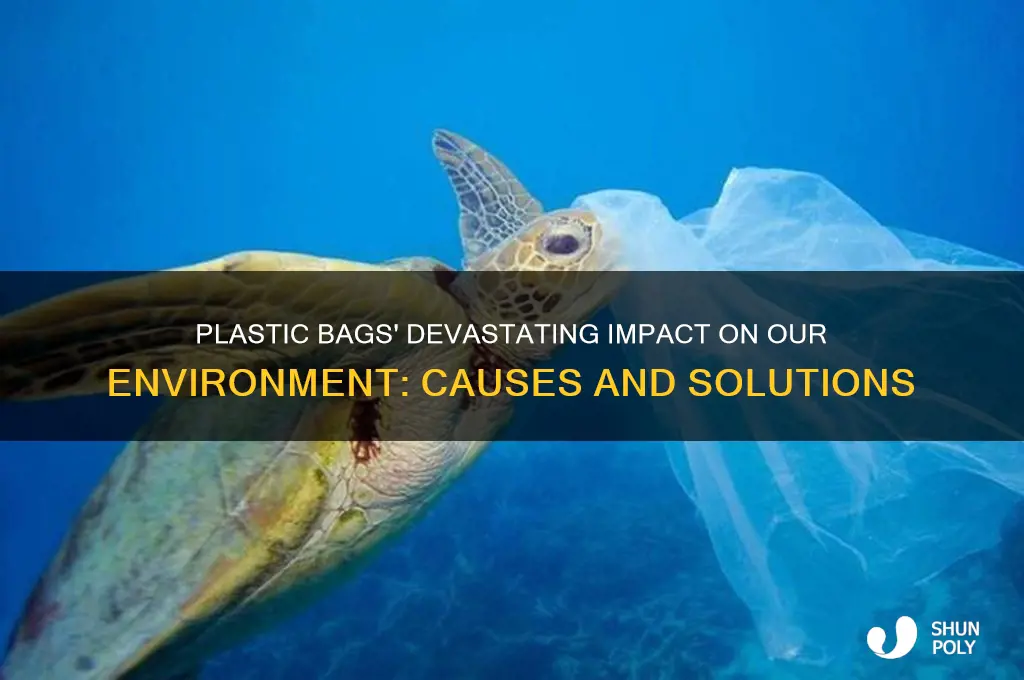 how does plastic bags affecr the enviorment