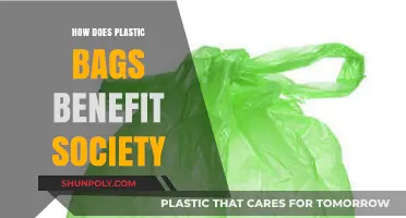 Plastic Bags: Unseen Advantages and Societal Contributions Explored