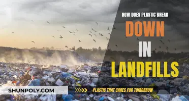 Plastic Breakdown: The Landfill Mystery