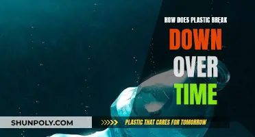Plastic Degradation: Understanding the Breakdown Process