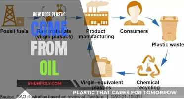 The Evolution of Oil: Plastic's Origin Story