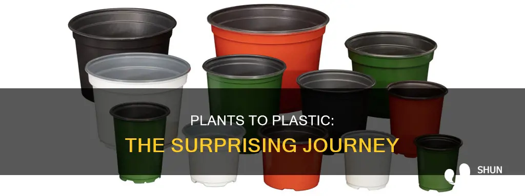 how does plastic come from plants
