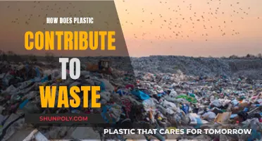 Plastic Pollution: A Global Waste Crisis
