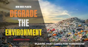 Plastic Pollution: Degradation of Our Environment