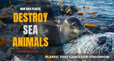 Plastic's Deadly Impact on Sea Life