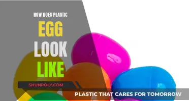Plastic Eggs: What Do They Look Like?
