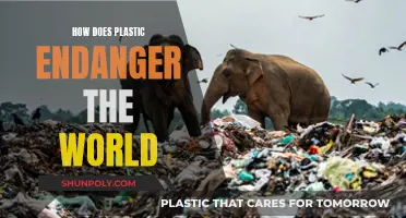 Plastic's Global Threat: Understanding the Danger