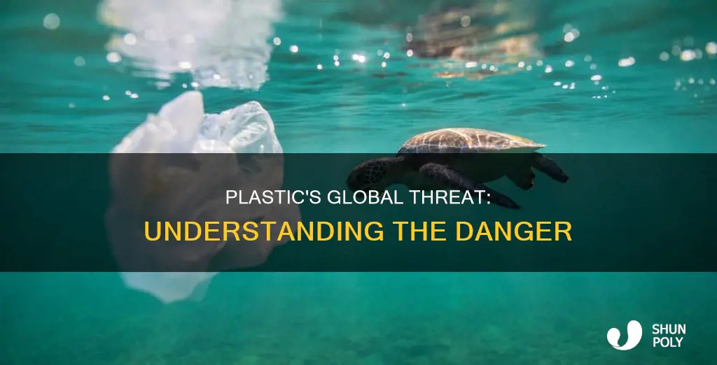 how does plastic endanger the world