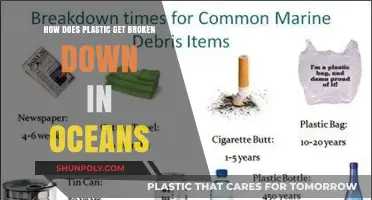 Ocean Plastic Breakdown: Processes, Impacts, and Environmental Consequences Explained