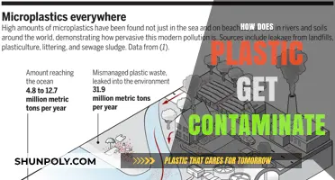 How Plastic Becomes Contaminated: Sources, Processes, and Environmental Impact