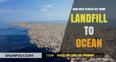 From Landfill to Ocean: Tracing Plastic's Devastating Journey