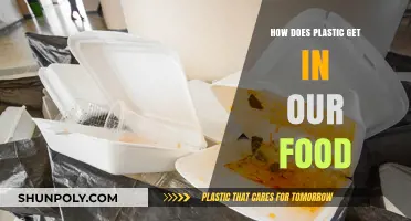 Unseen Invaders: How Plastic Enters Our Food Chain and Diet