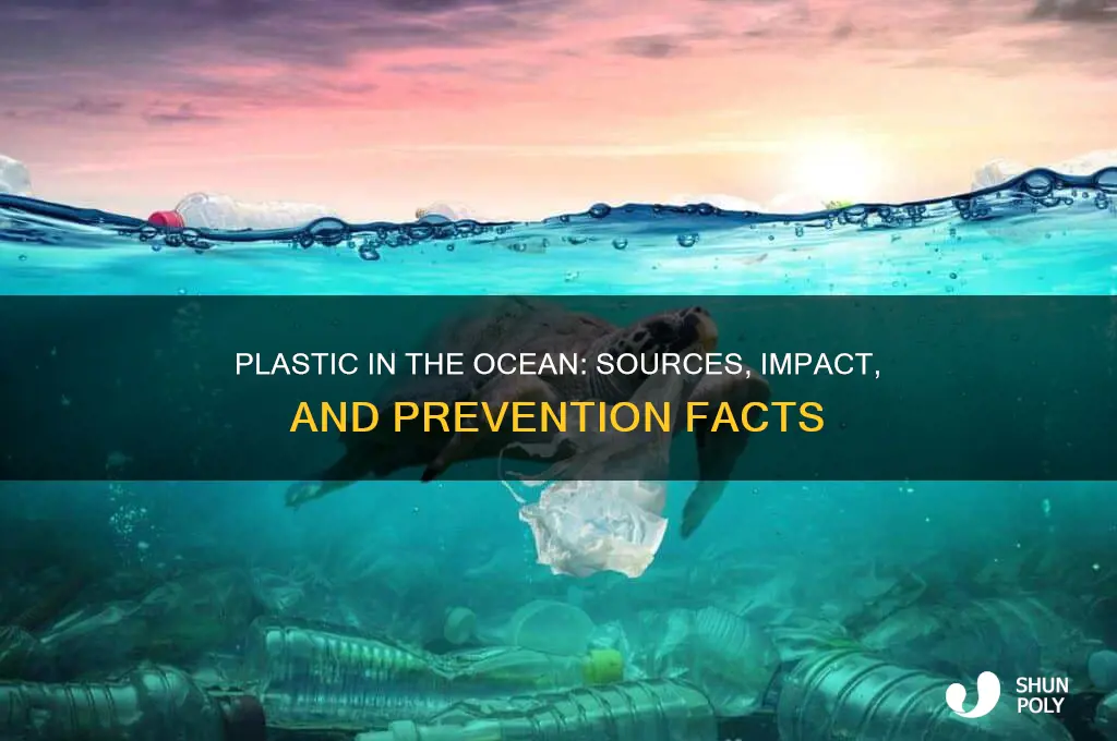 how does plastic get in the ocean facts
