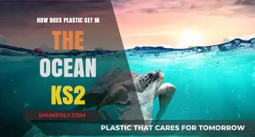 How Does Plastic End Up in Our Oceans? KS2 Explained