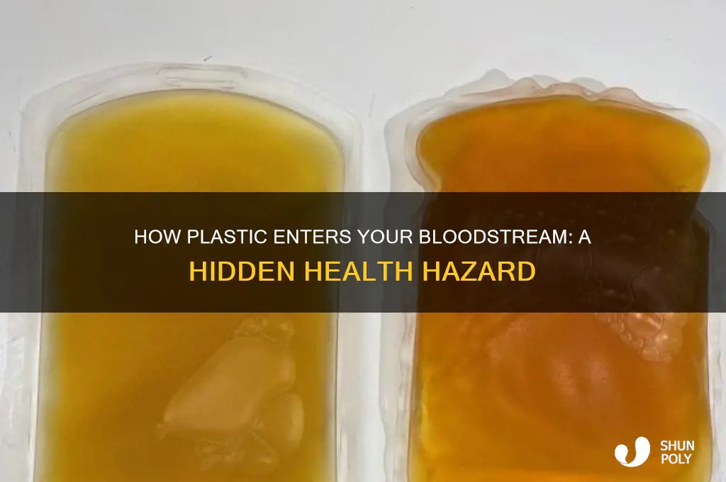 how does plastic get in your blood