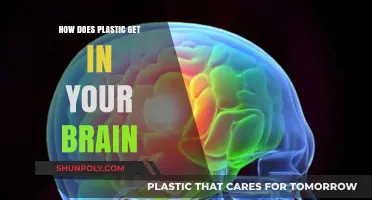 Plastic in Your Brain: Unseen Pathways and Alarming Consequences