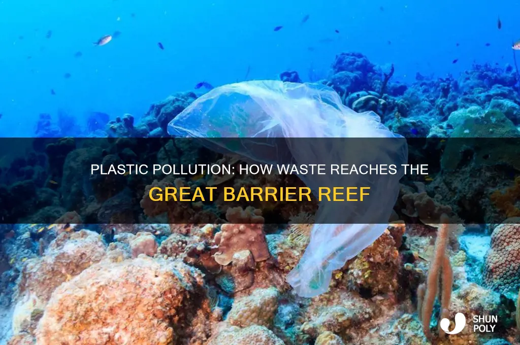 how does plastic get inti the great barrier reef