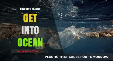 How Plastic Enters Oceans: Sources, Pathways, and Prevention Strategies
