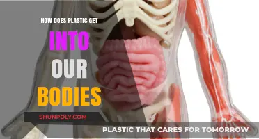 Invisible Invaders: How Plastic Enters Our Bodies and Affects Health