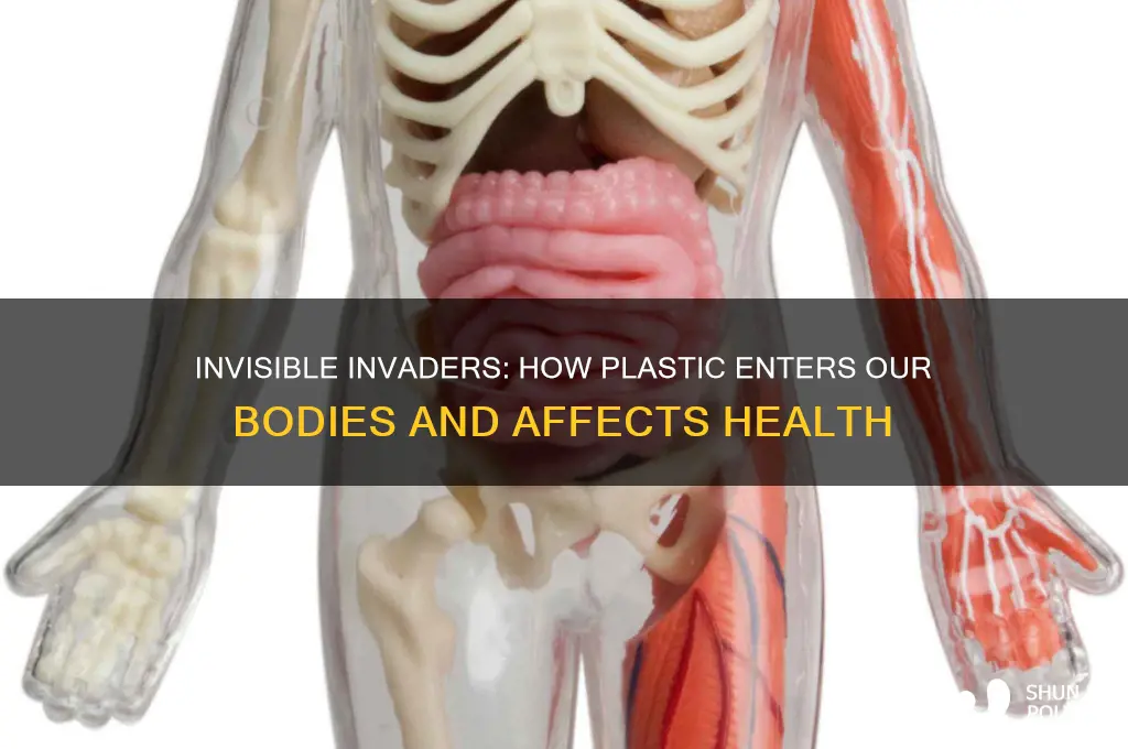 how does plastic get into our bodies