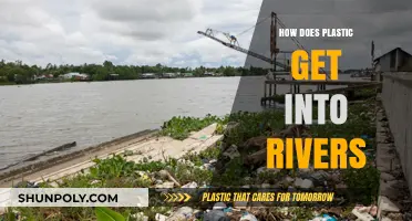 Tracing the Path: How Plastic Enters Our Rivers and Waterways