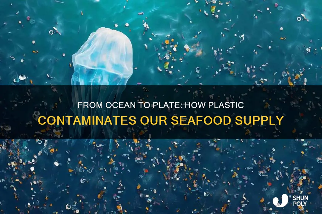 how does plastic get into seafood