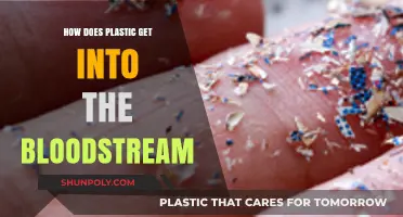 How Microplastics Enter Our Bloodstream: Sources, Risks, and Prevention