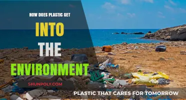 How Plastic Pollution Enters Ecosystems: Sources and Environmental Impact
