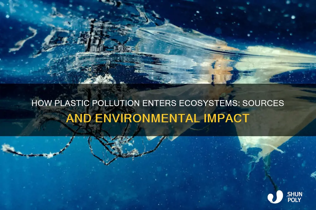 how does plastic get into the environment