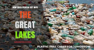 Unseen Pathways: How Plastic Pollutes the Great Lakes Ecosystem