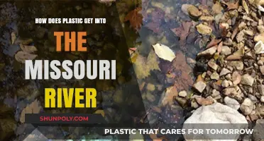 Tracing Plastic Pollution: How It Enters the Missouri River