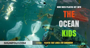 How Plastic Enters Our Oceans: A Kid-Friendly Explanation