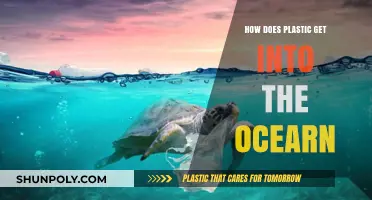 How Plastic Enters Oceans: Sources, Pathways, and Prevention Strategies