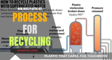 Unveiling the Journey: From Trash to Treasure: Plastic Recycling Process