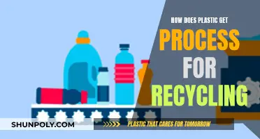 The Complex Process of Plastic Recycling