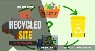 Unveiling the Journey: From Plastic to Recycled Goods