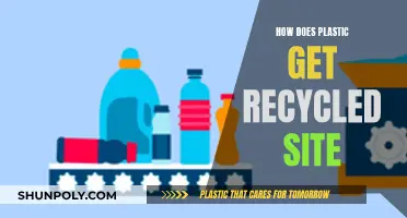 The Plastic Recycling Process: A Comprehensive Overview
