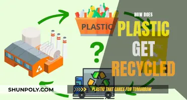 The Journey of Plastic: From Waste to New Life