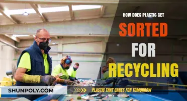Sorting Plastic for Recycling: A Detailed Guide to the Process