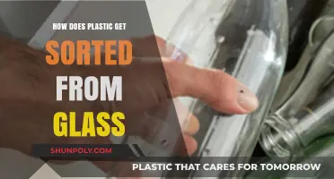 Sorting Plastic from Glass: Understanding the Recycling Separation Process