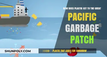 Tracing Plastic's Journey to the Great Pacific Garbage Patch
