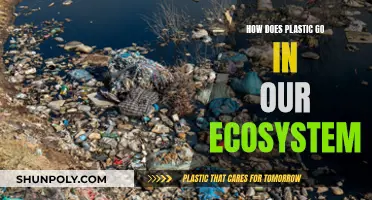 Plastic Pollution: Invading Our Ecosystem