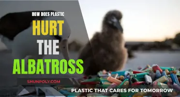 Plastic's Albatross Impact: An Ecological Disaster