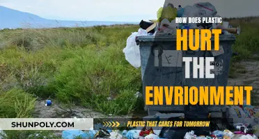 Plastic's Toxic Legacy: Environmental Impact Explained