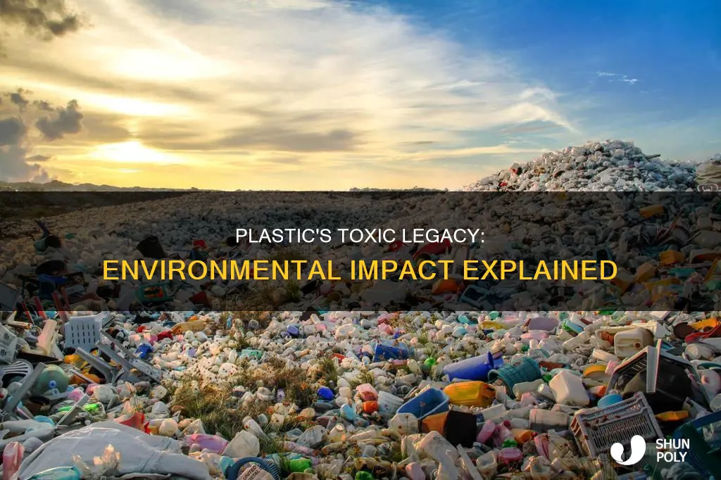 how does plastic hurt the envrionment