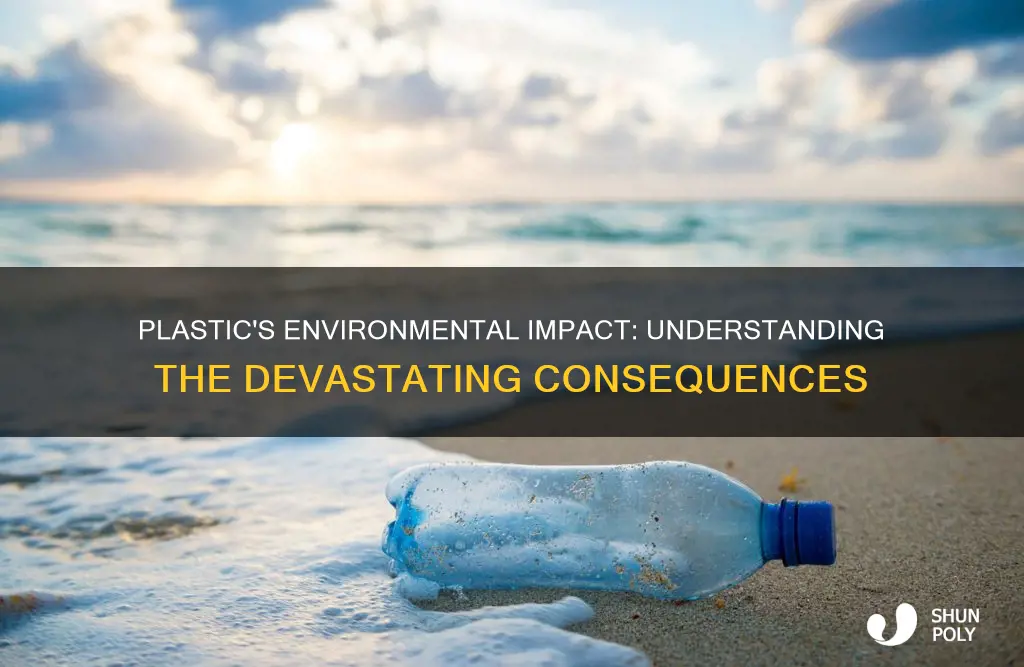 how does plastic impact on the environment